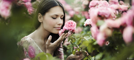 La Rose de Damas: Un Ingrédient Ayurvédique Incontournable